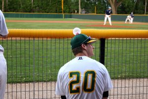The Brotherhood of Baseball