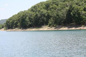 Lake Life