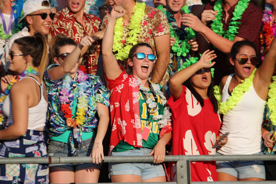 Naming the Student Section