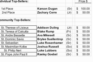 Screen shot of results from annual trash bag sales.