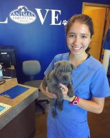 Reichenberger pictured holding a puupy at Auburn Hills Animal Hospital.