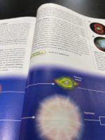 Students study some astronomy in textbooks now. 